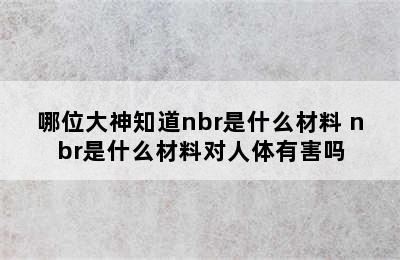 哪位大神知道nbr是什么材料 nbr是什么材料对人体有害吗